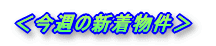 今週の新着物件
